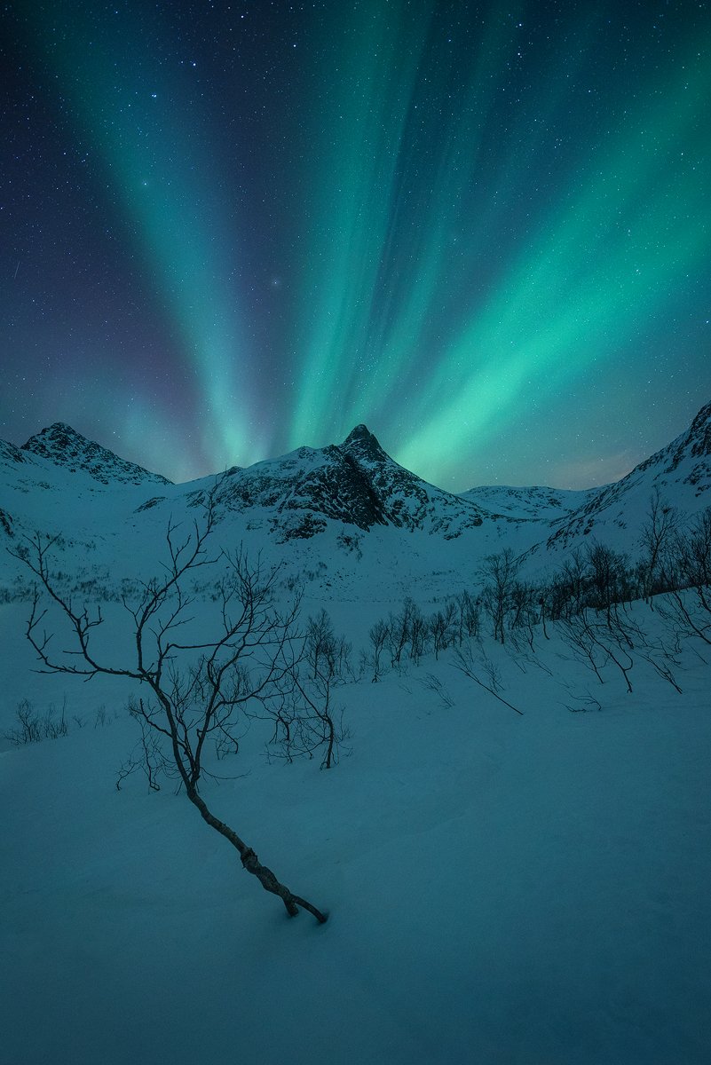 norway night aurora borealis landscape snow winter senja , Roberto Pavic