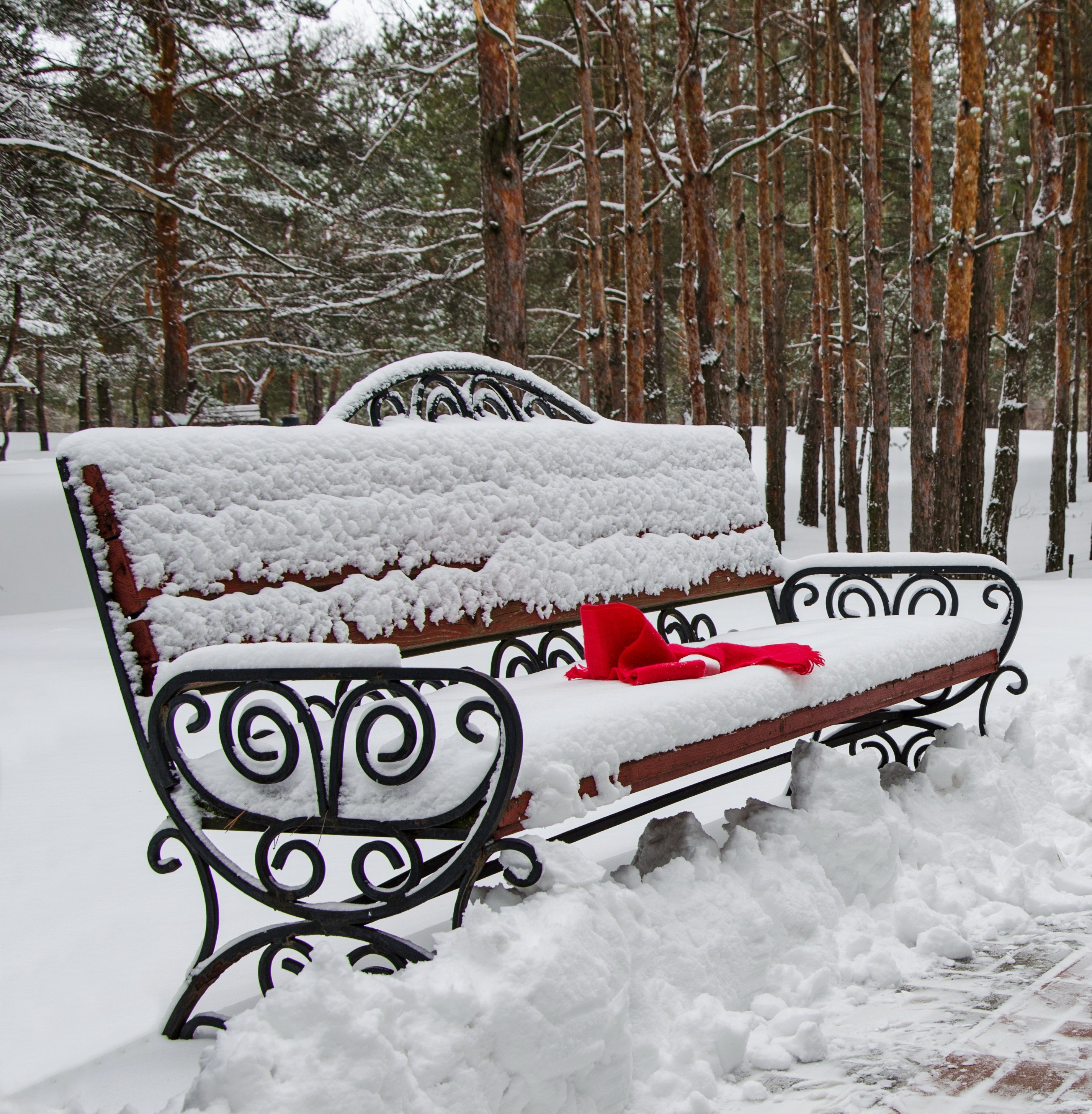 28-е февраля, парк, снег, шарфик, Валерий Наумов