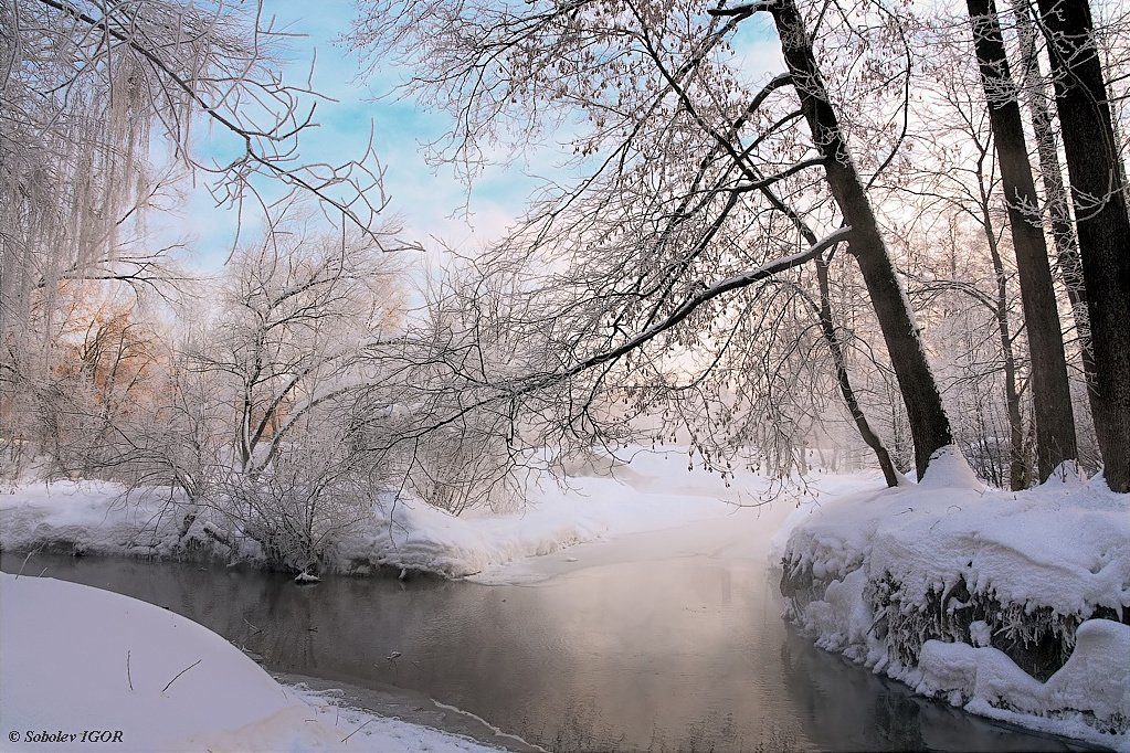 понамарка, кузьминки, москва, зима, рассвет, утро, ponamarka, kuzminki, moscow, winter, dawn, morning, Соболев Игорь