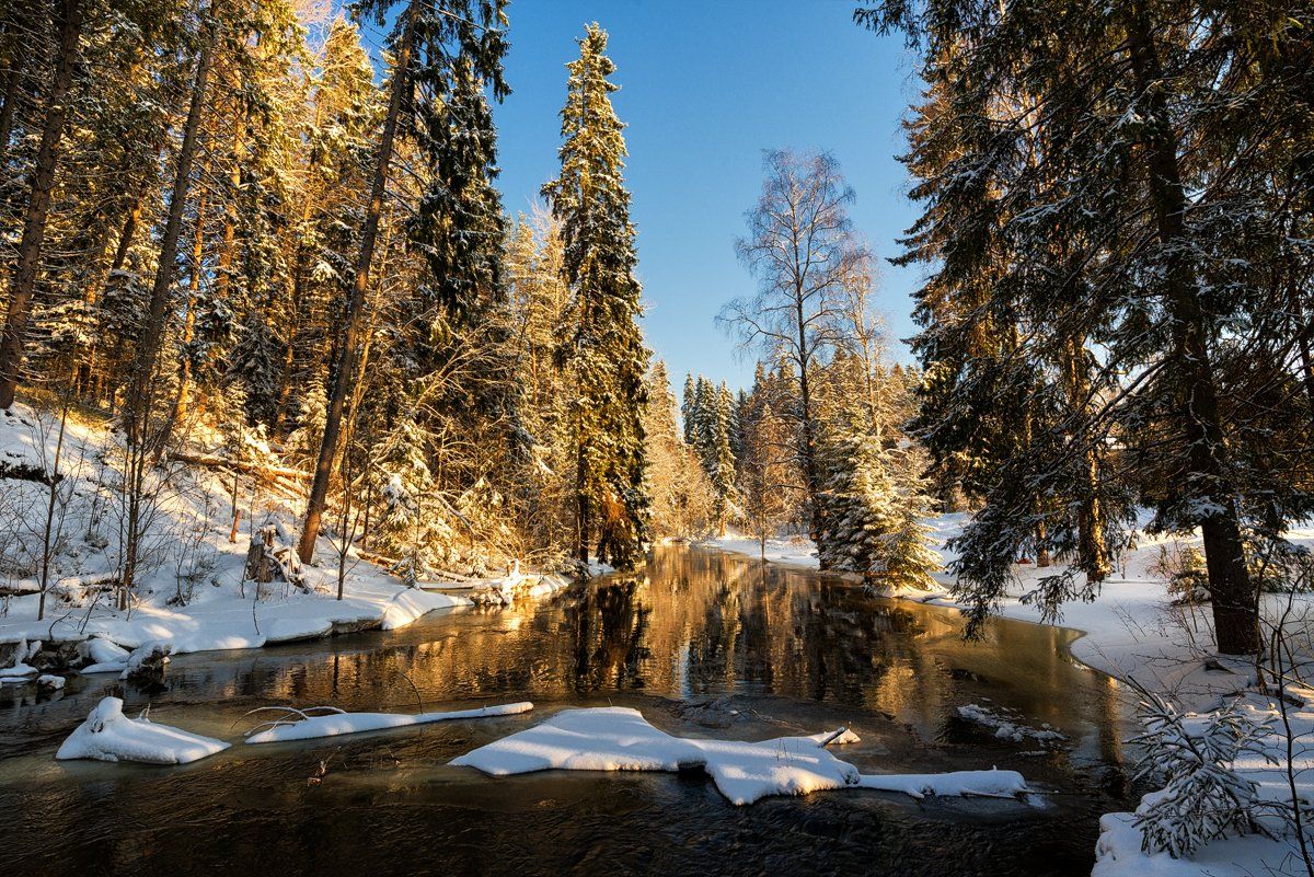 февраль,зима,день,река,берега,сосны,снег,свет,пейзаж,отражения, Евгений Плетнев