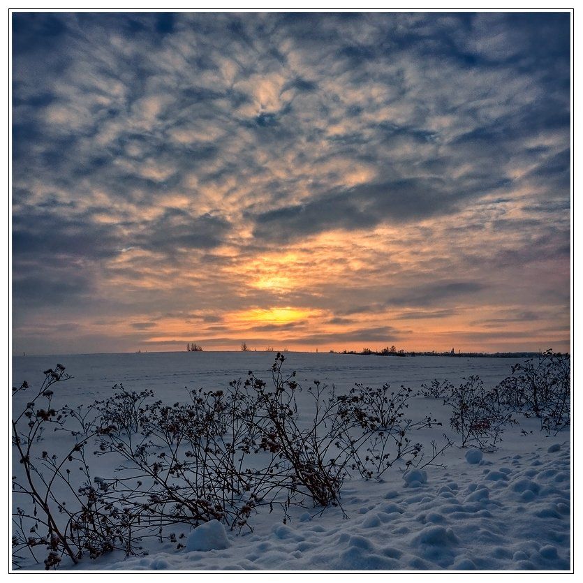 зима, пейзаж, снег, кусты, небо, Oleg Dmitriev