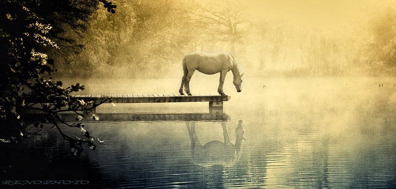 horse, Андрей Вахрушев