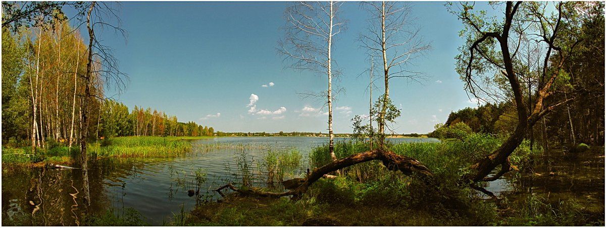 лето, природа, пейзаж, панорама, озеро, SvetLana
