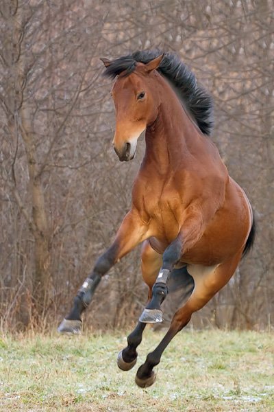 , Георгий Грушин (Photo-classic)