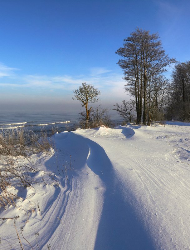 зима, море, снег, деревья, балтийское море, куликово, White