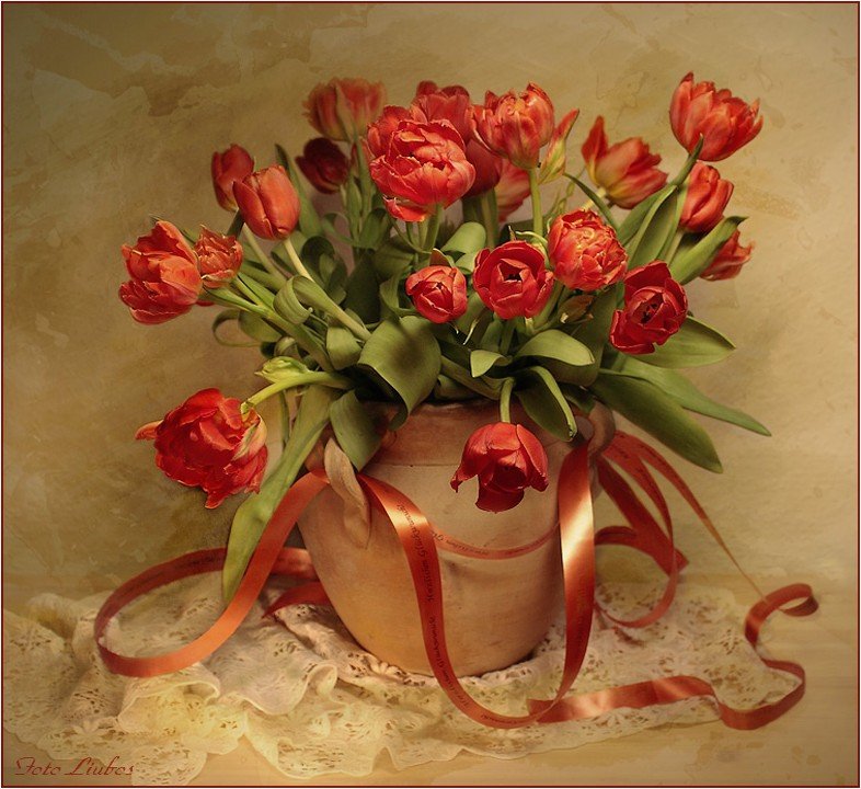 foto liubos, натюрморт,поздравление,тюльпаны, Любовь Селиванова