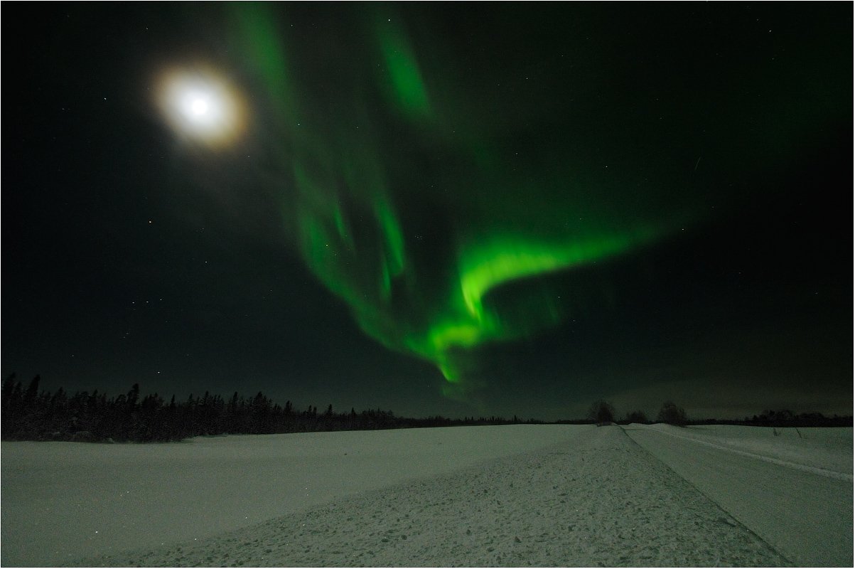 aurora borealis,северное сияние,кольский,север, Roman Goryachiy