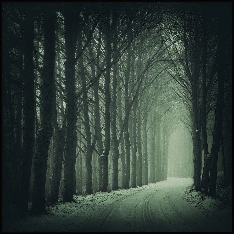 зимней бездне winter foggy road snow trees mist dark, Radoslaw Dranikowski
