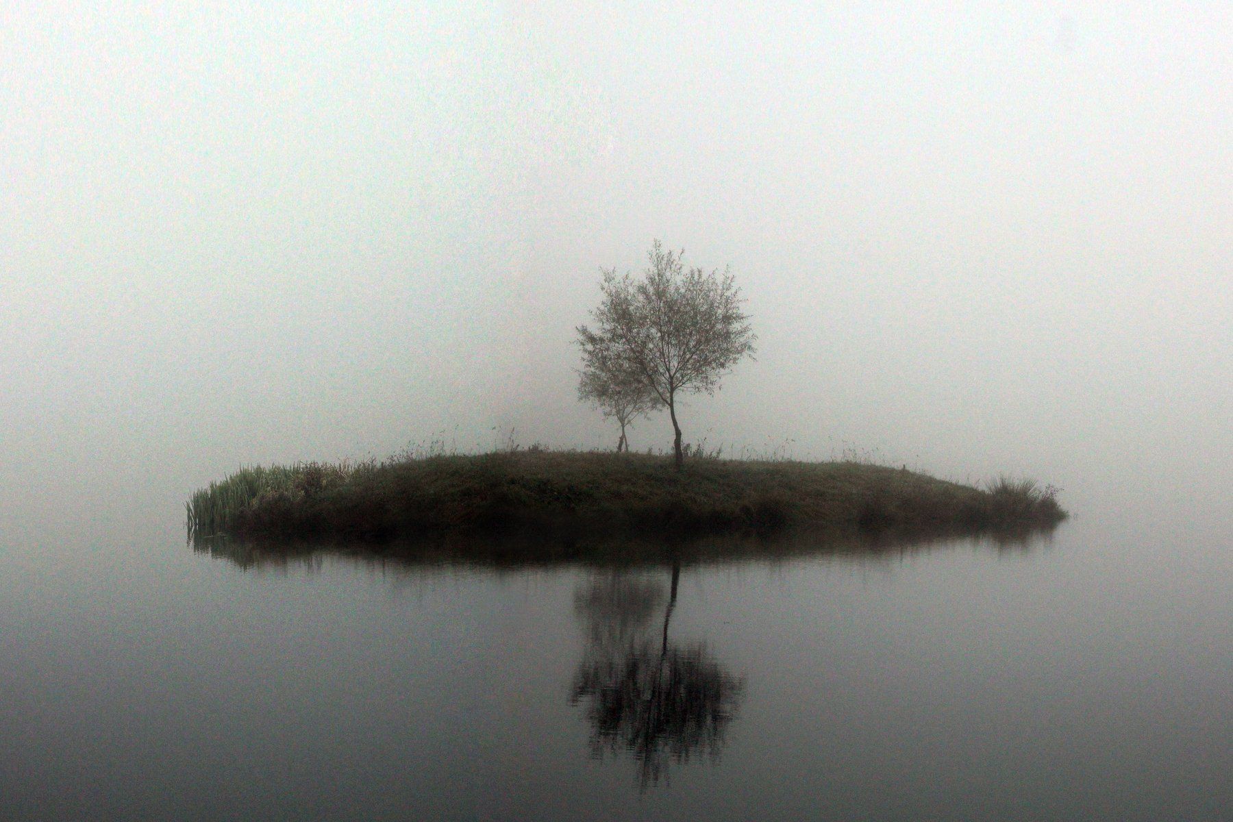 озеро осень дерево, Иванчиков Дмитрий