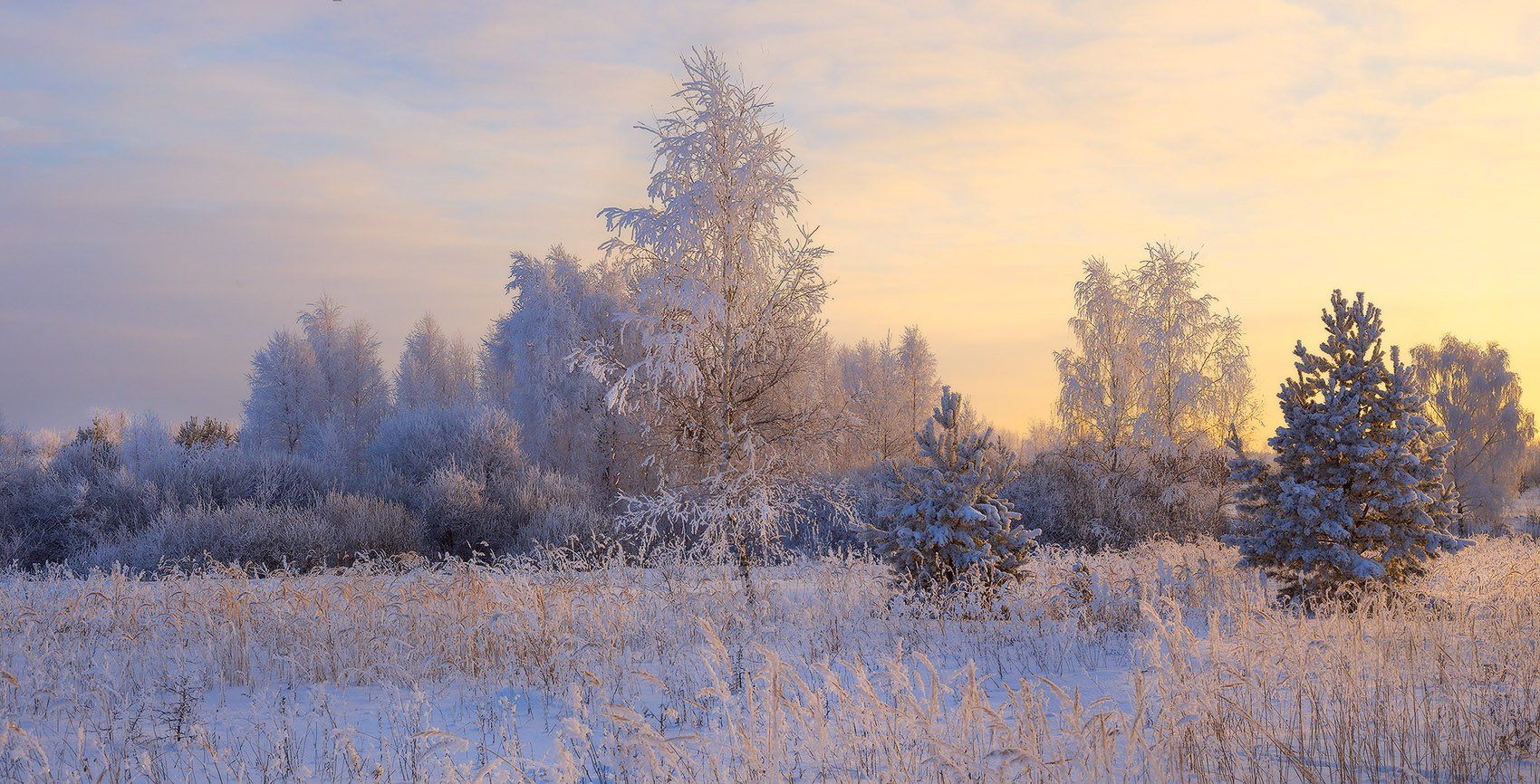 зима мороз иней утро, Дмитрий Алексеев