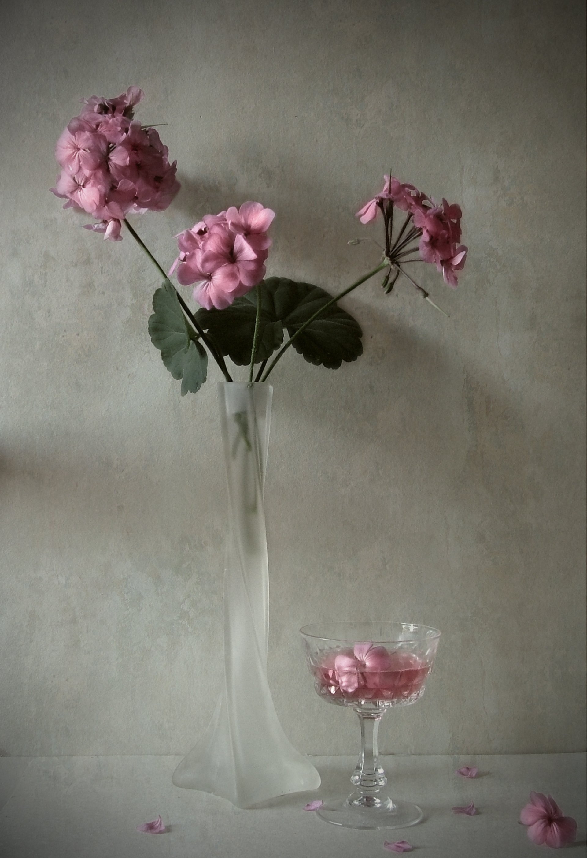 Geranium, wine, vase, flowers, Andrei Blank