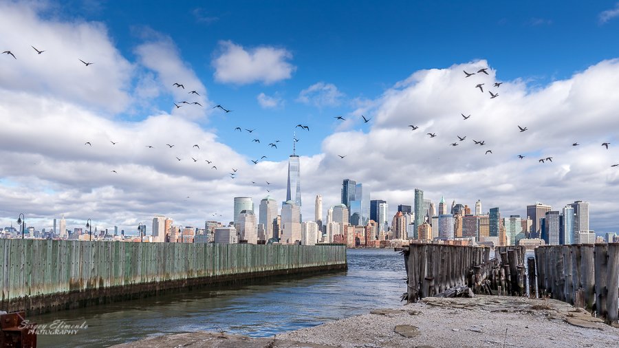 newyork, skyline, birds, cityscape, Sergei Efimenko