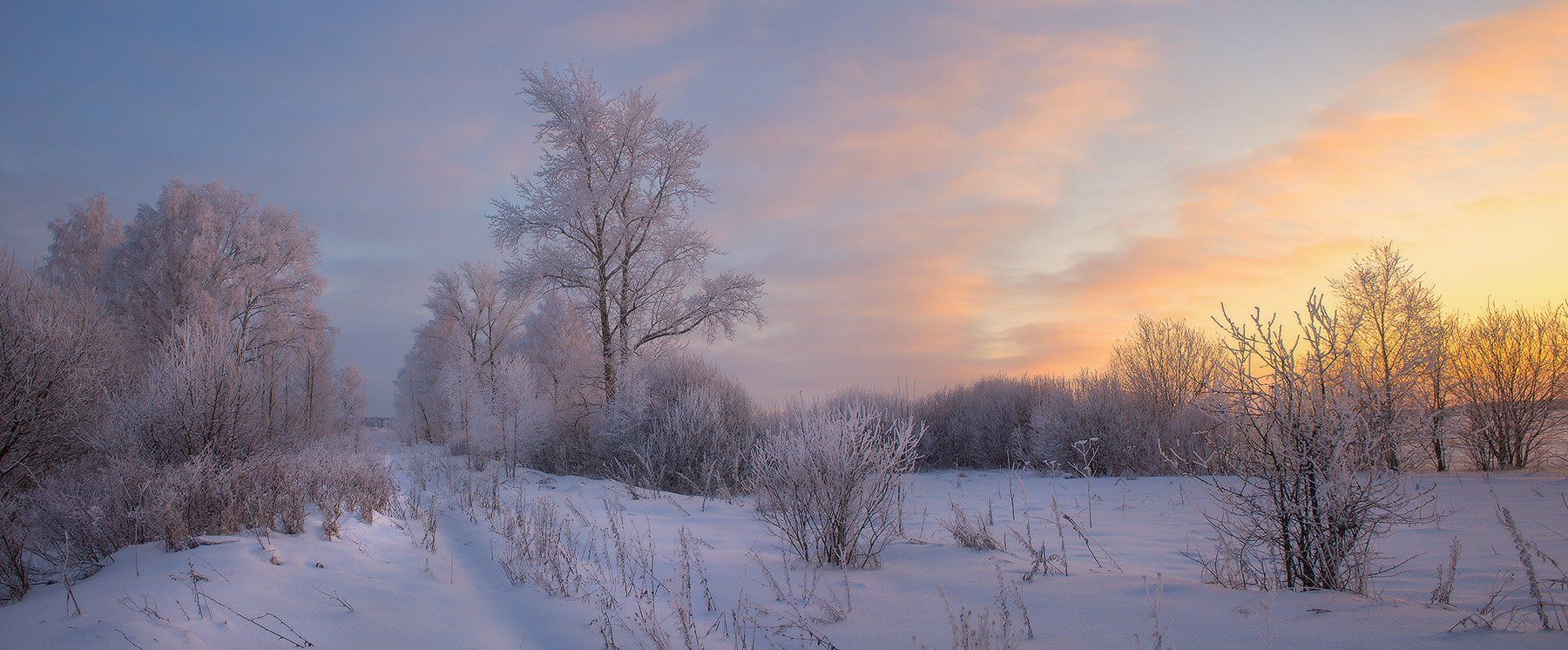 зима вечер мороз, Дмитрий Алексеев
