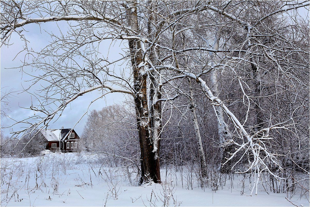 зима, снег, дерево, холод, дом, Victor Pechenev