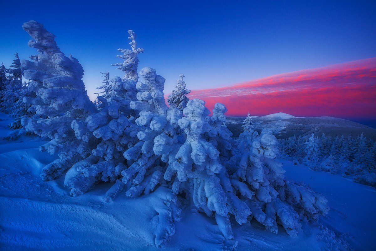 landscape,canon,winter, Iza i Darek Mitręga