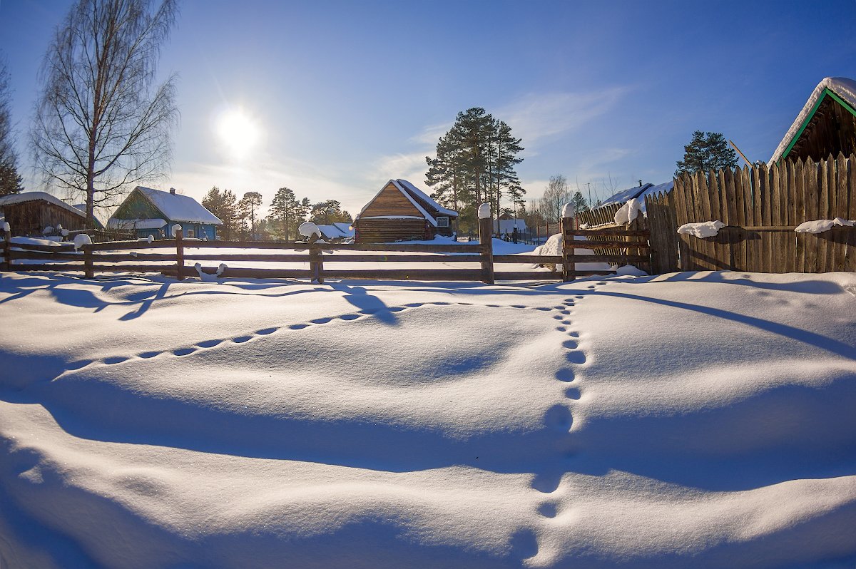 март снег солнце деревня дом забор тени, Марина Мурашова
