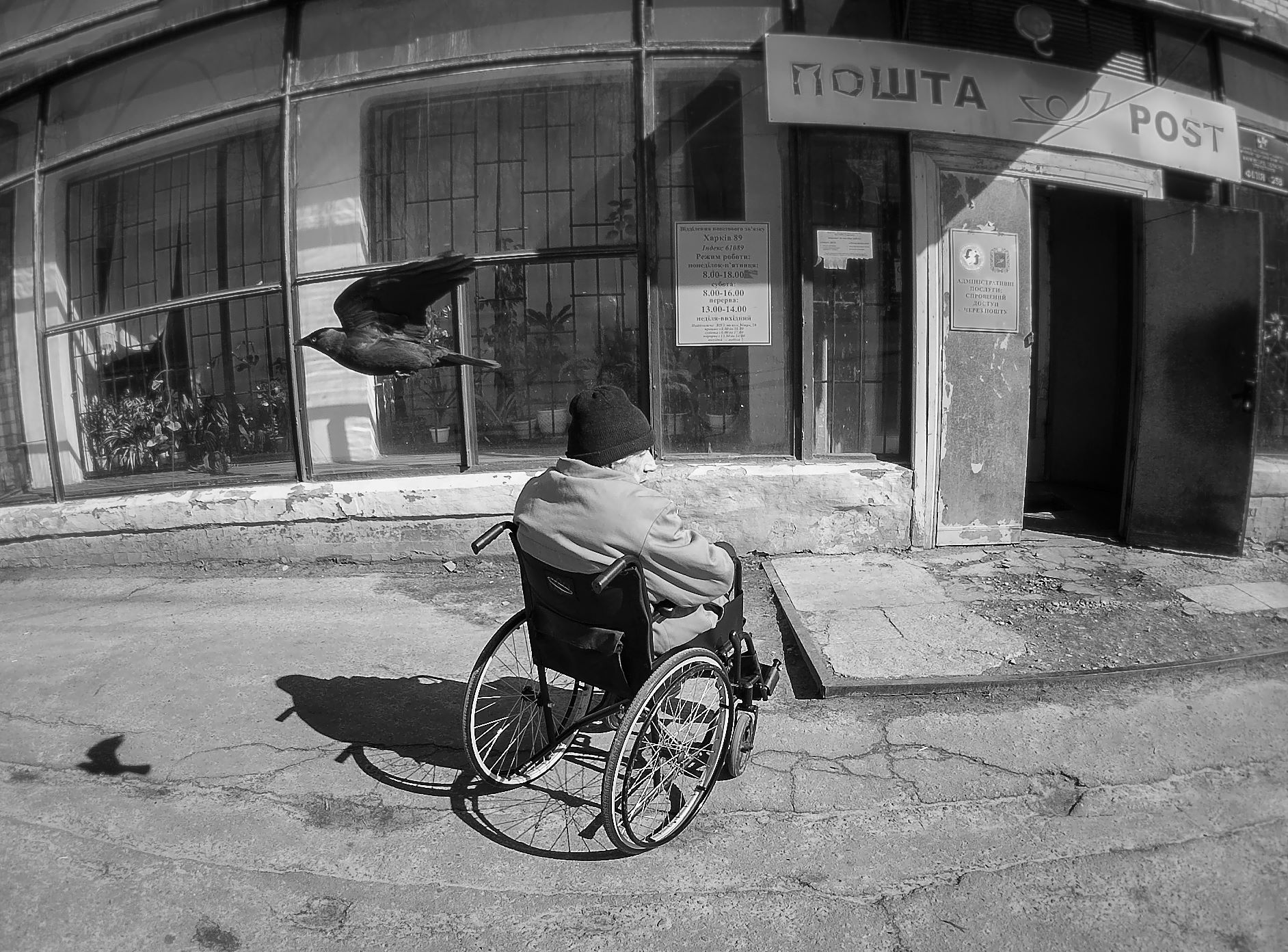 город,улица,человек,инвалид,птица, Roma  Chitinskiy