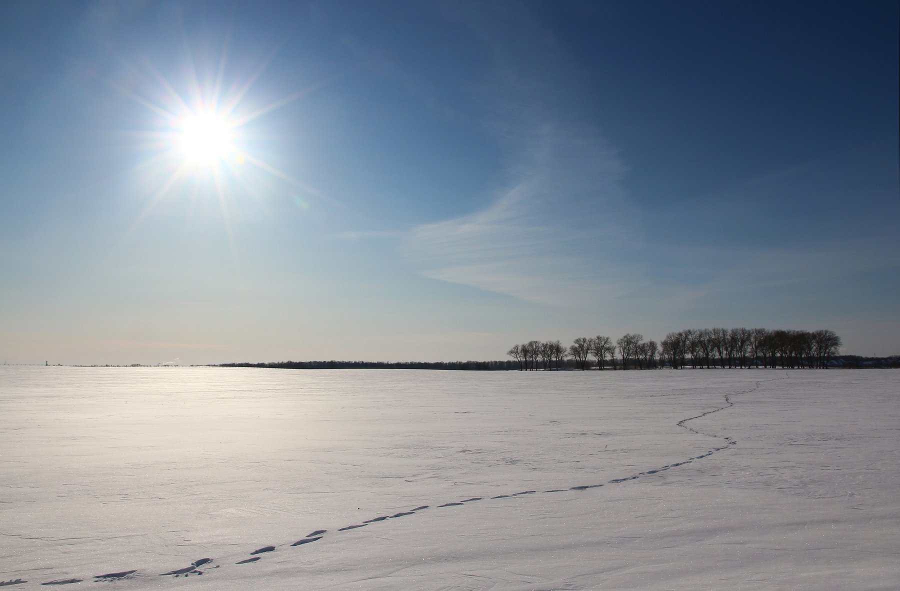 зима поле солнце снег, Иванчиков Дмитрий