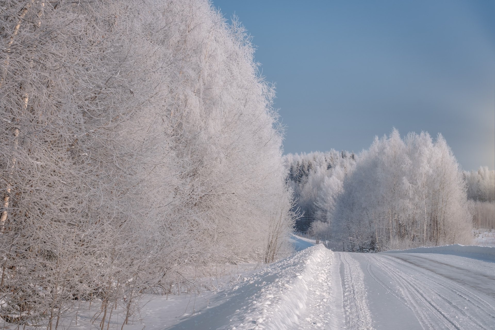 пейзаж, зима, деревья, дорога, снег, свет, солнце, белый, мороз, иней, Андрей Чиж