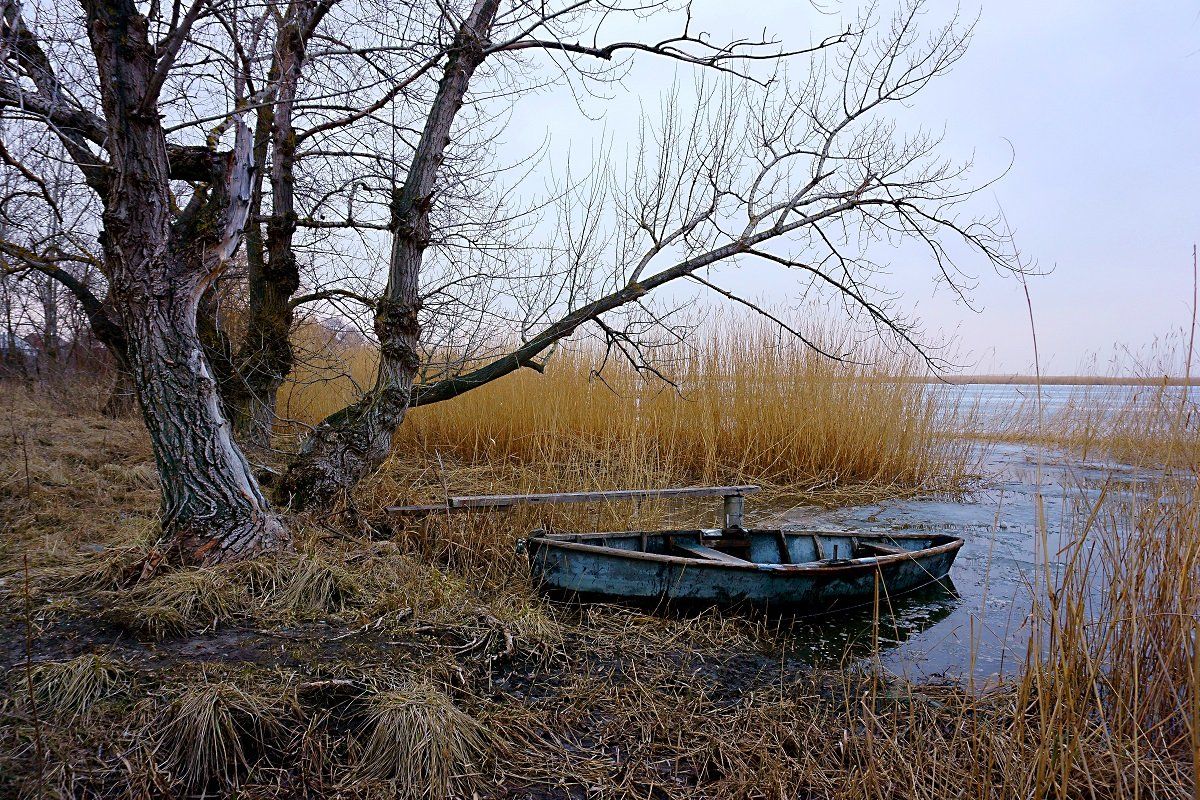 весна,пейзаж,взгляд,, Марина Соколова