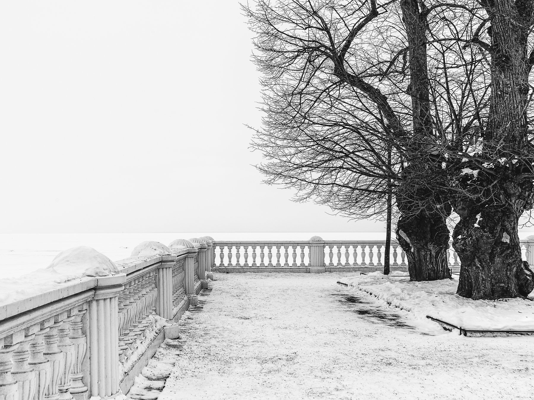 парк залив зима весна снег март прогулка никон, Вавилова Елизавета