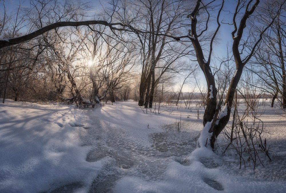 зима природа снег солнце деревья, Михаил Корнилов