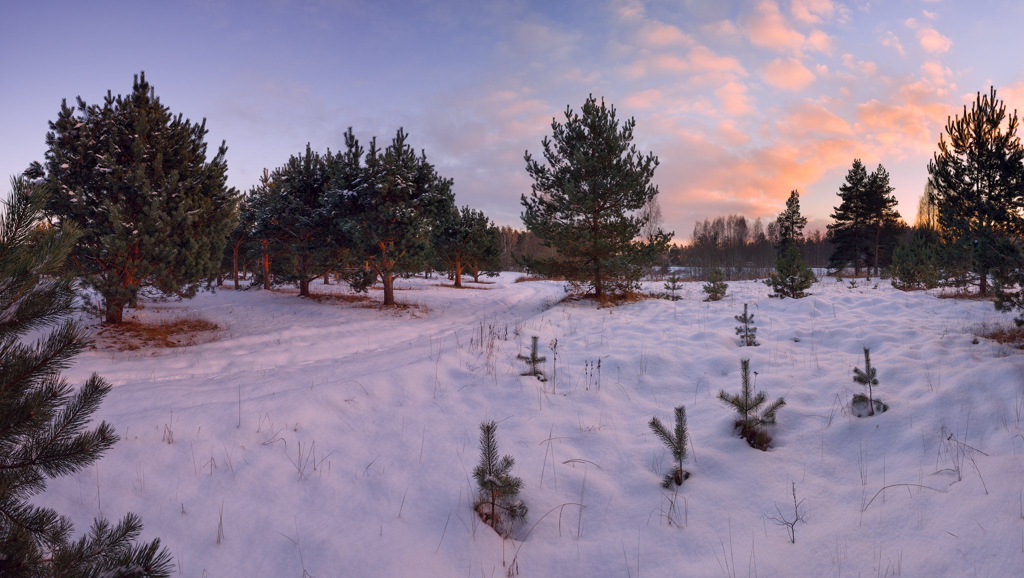 панорама, закат, зима, пейзаж, латвия, Алексей Мельситов