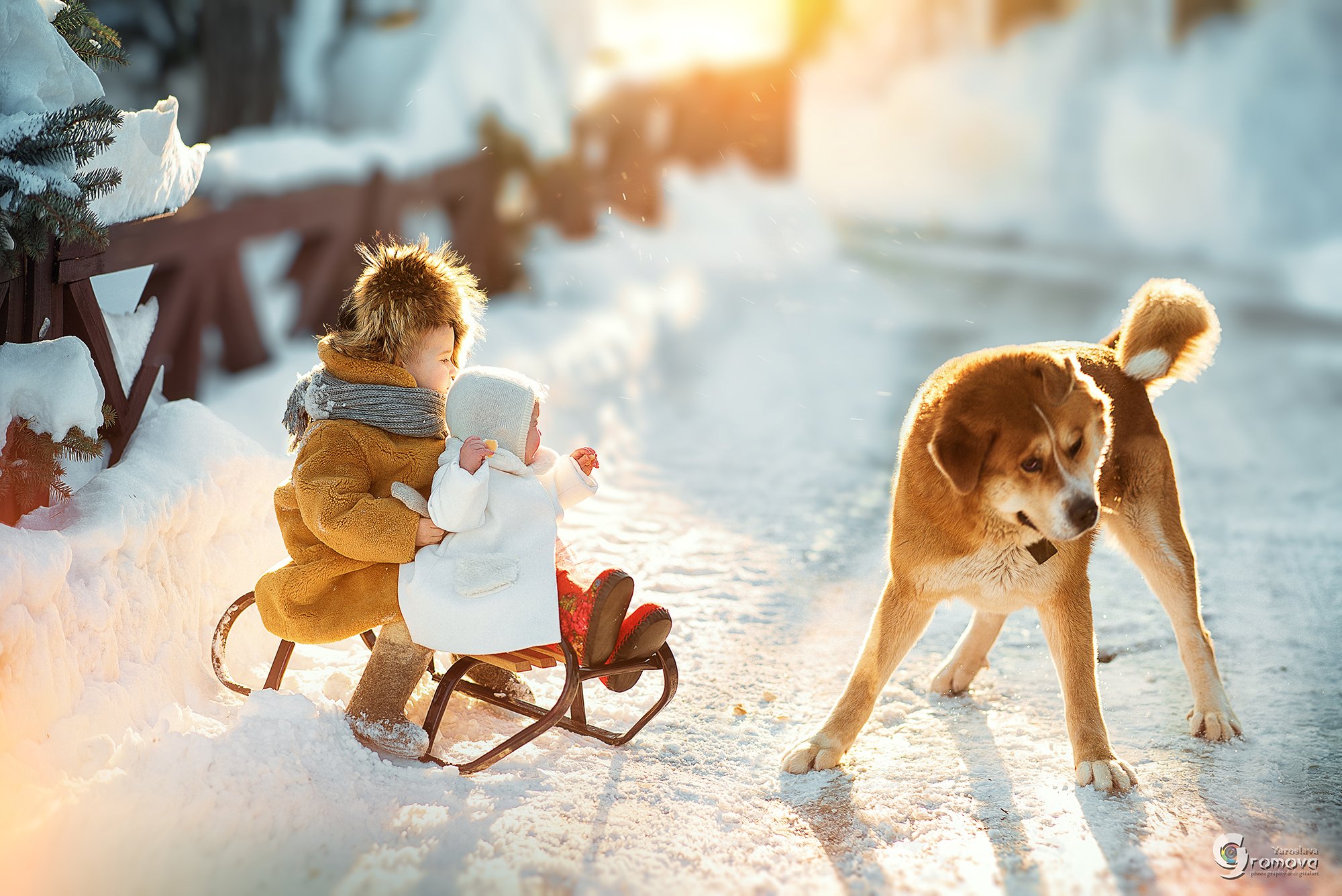 дети, зима, пес, собака, дружба, солнечный день, солнце, мороз, санки, Ярослава Громова
