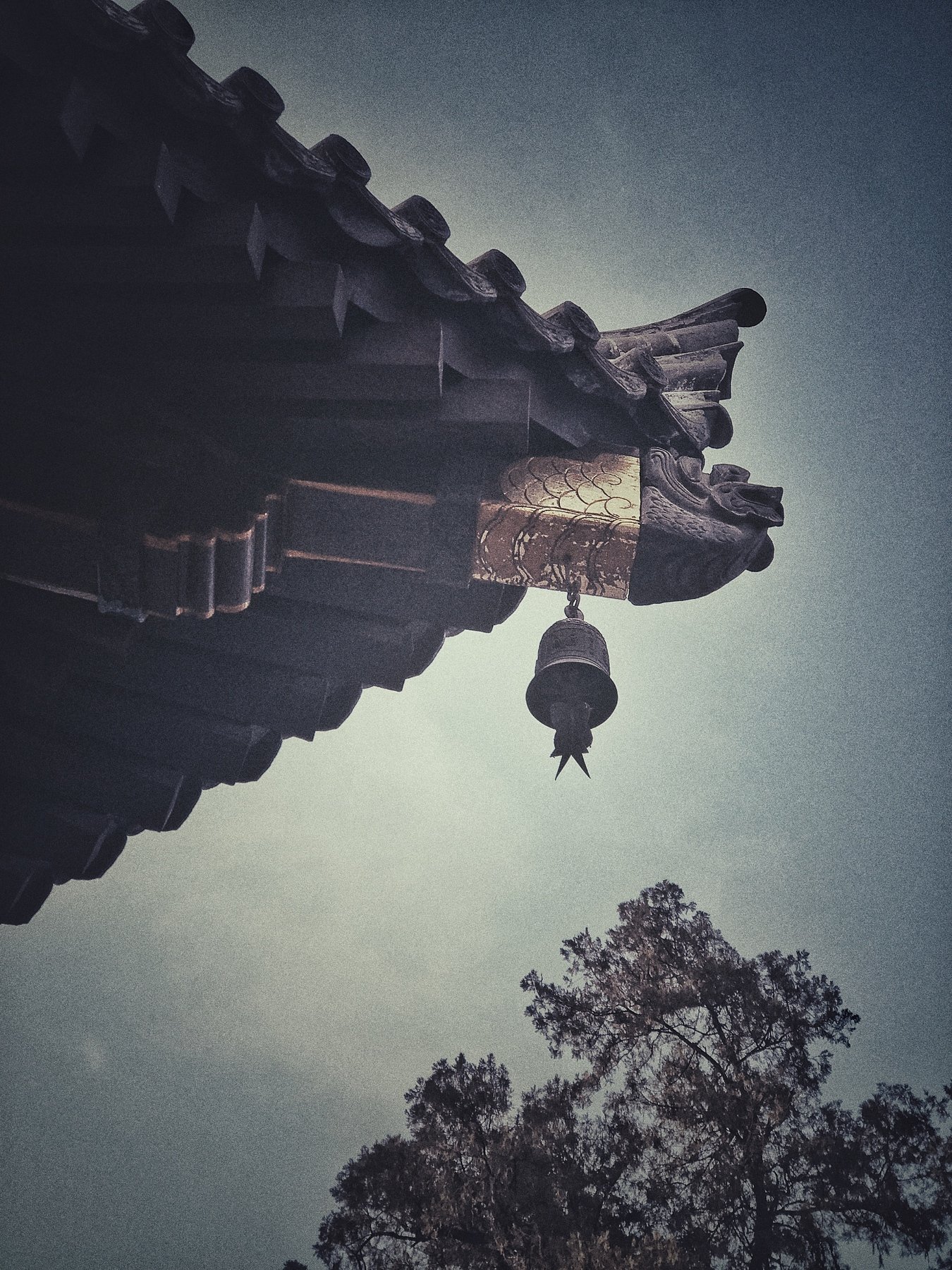 Great Wild Goose Pagoda, 雁滩一枝花