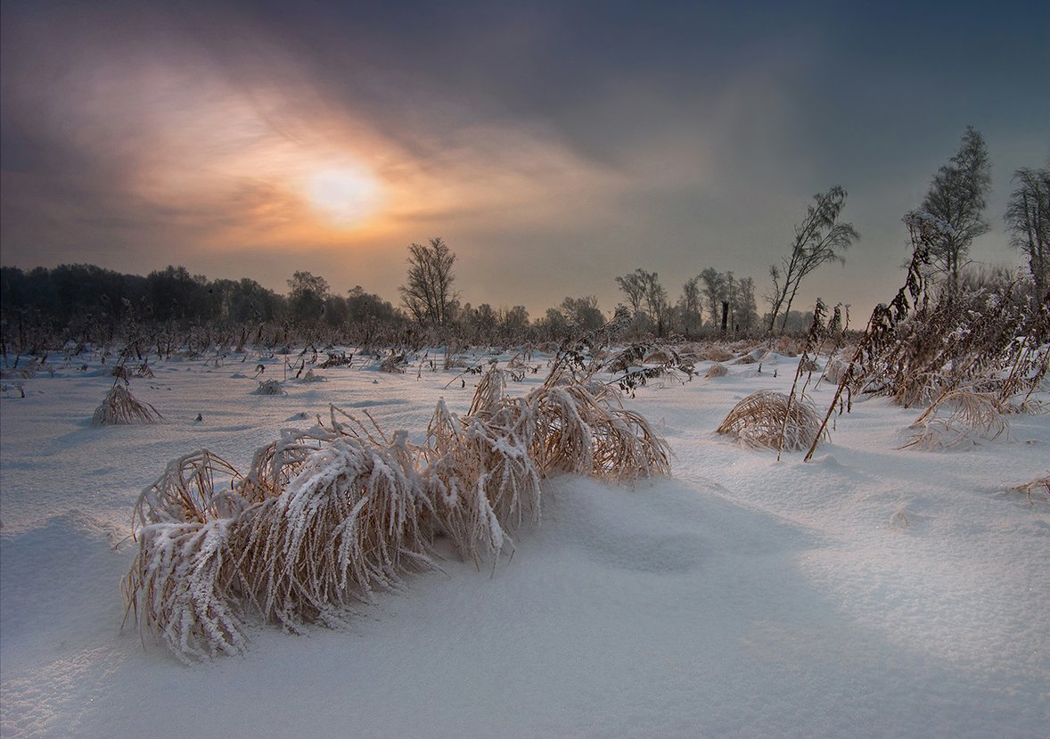 зима, вечер, пейзаж, снег, трава, свет, солнце, небо, валерий_чичкин, Валерий Чичкин