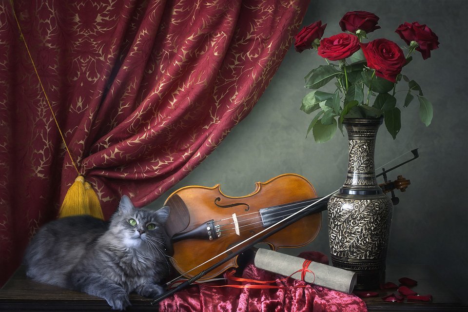 натюрморт, скрипка, букет роз, кошка Масяня, интерьер, Ирина Приходько
