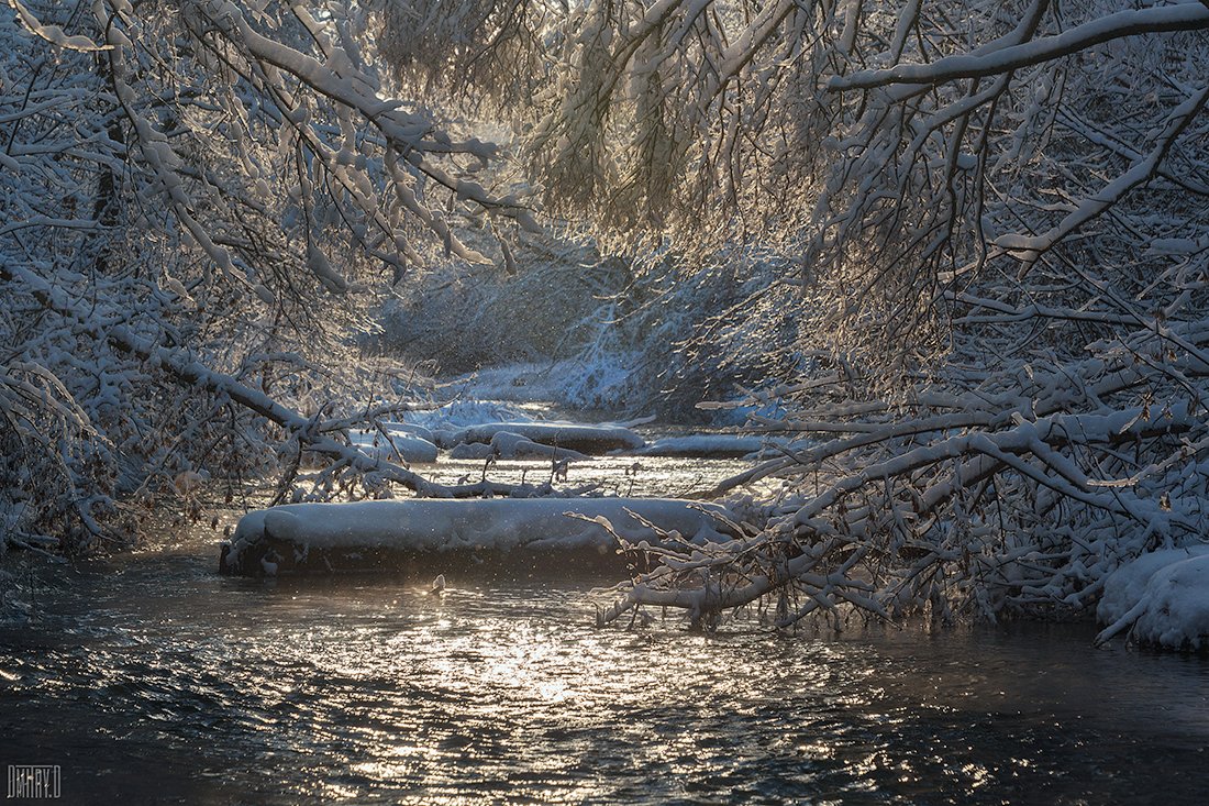 зима, снег, река, деревья, мороз, свет,, Дмитрий Доронин