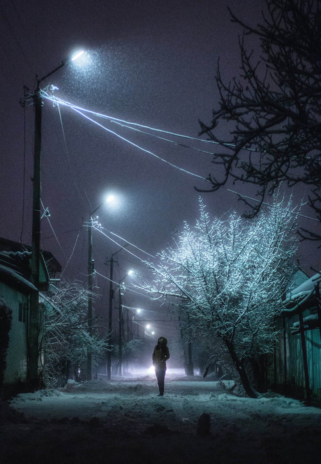 зима, ночь, снег, улица, лампа, street, night, winter, snowfall, Марат Сайранбаев