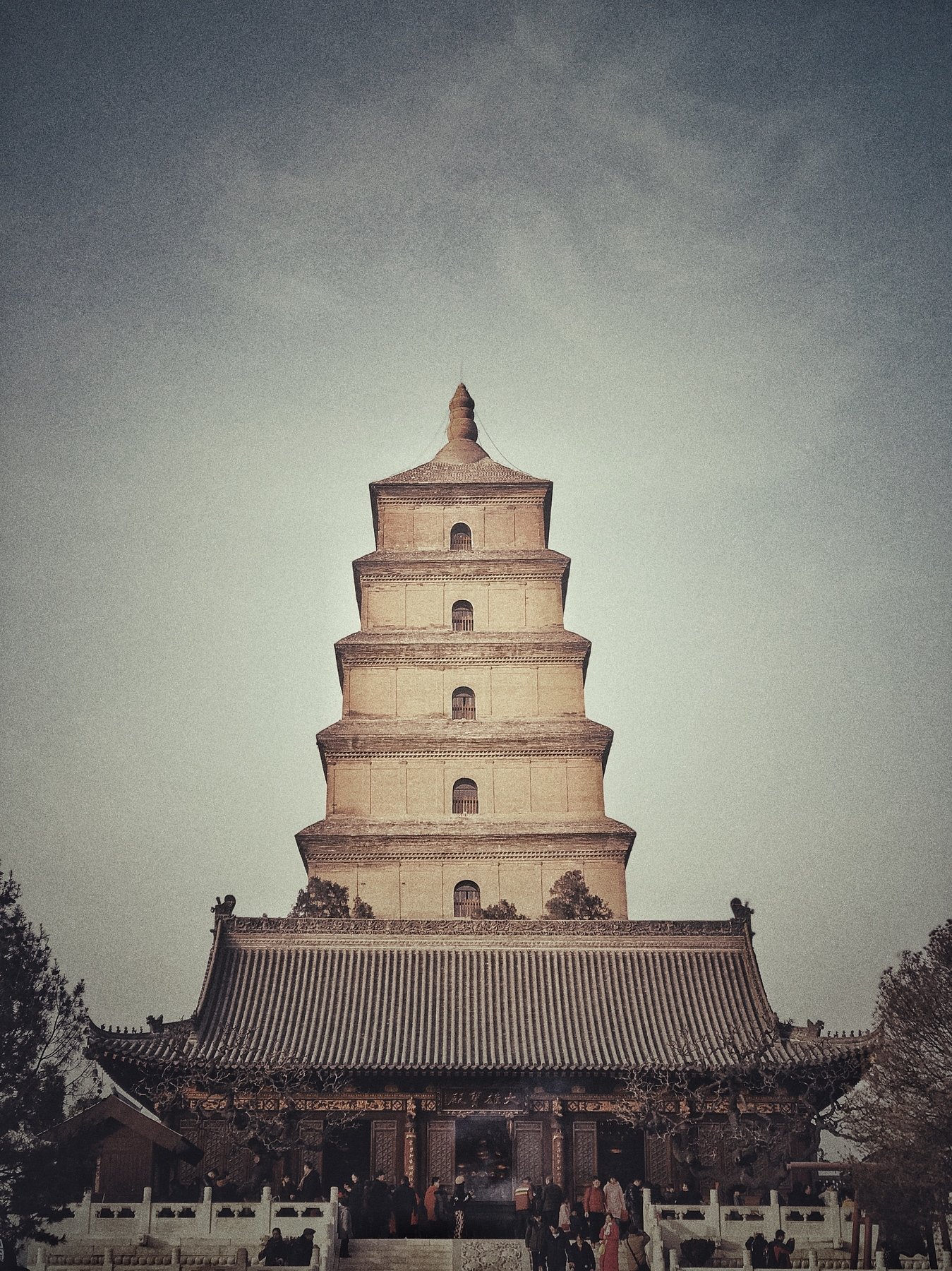 Great Wild Goose Pagoda, 雁滩一枝花