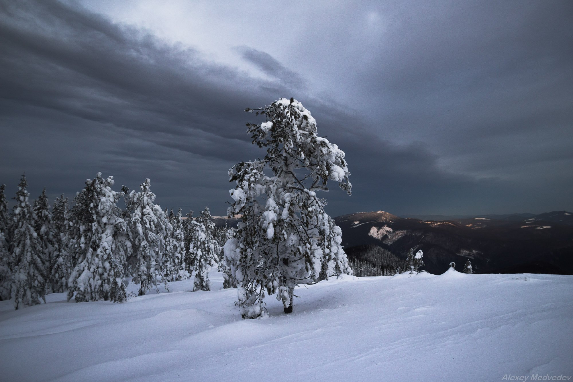 winter, white, frost, snow, carpathians, ukraine,  carpathians, alone, mountains, горы, зима, холод, карпаты, горганы, Алексей Медведев