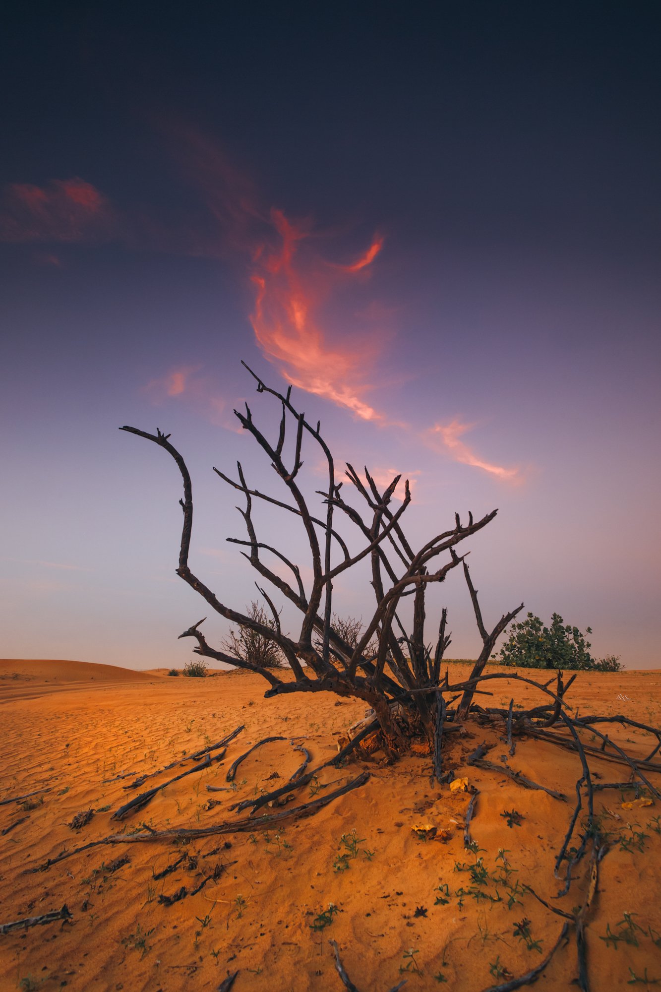 sunset, desert, uae, colors, Руслан Болгов (Axe)