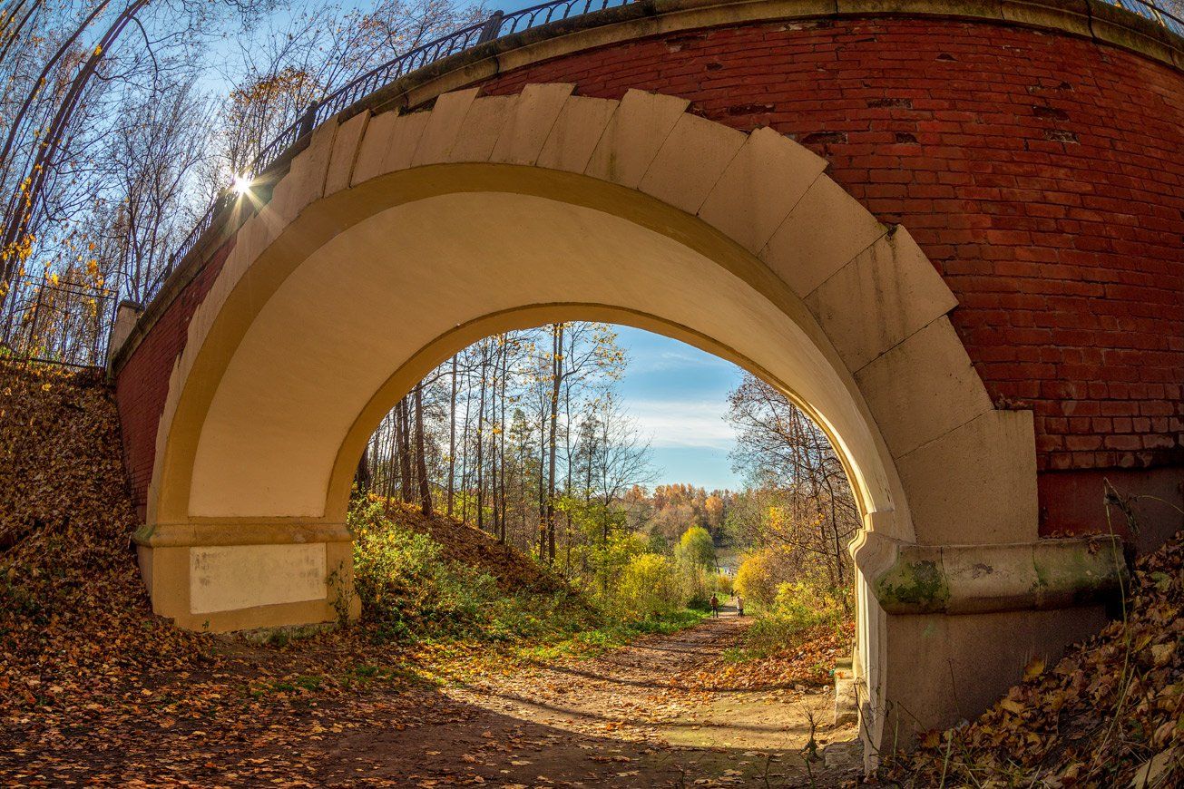 осень, листья, мост, природа, солнце, настроение, Виктор Климкин