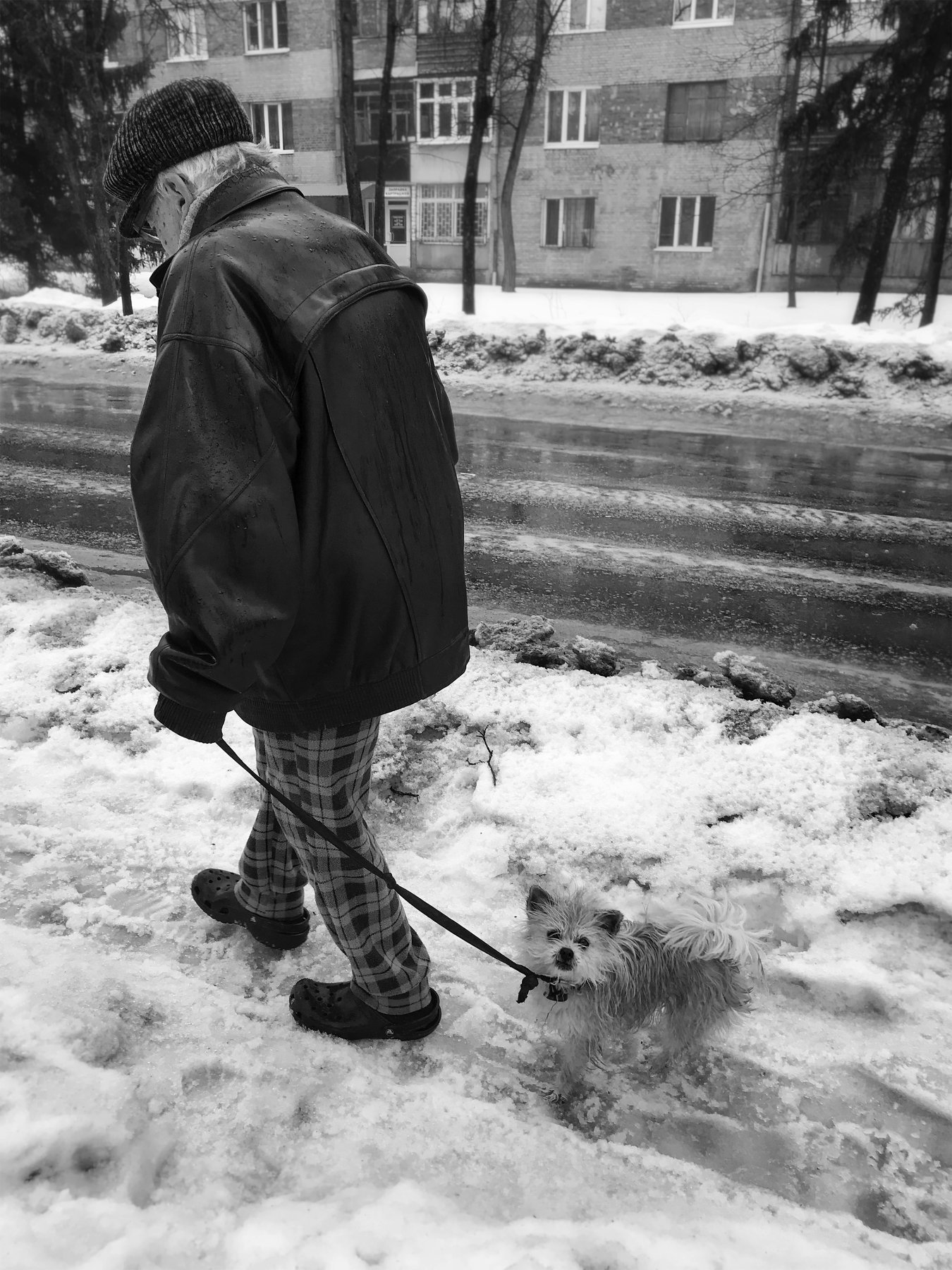 город,улица,дорога,человек,собака,дождь, Roma  Chitinskiy
