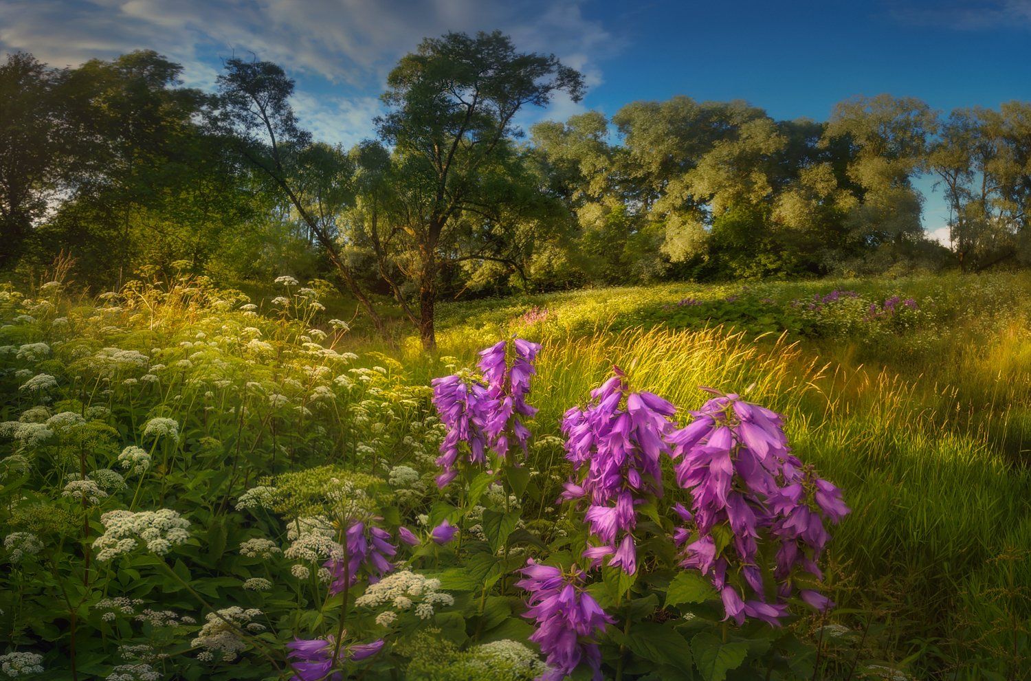 пушкин, царскоесело, царское, питер, пейзаж, лето, landscape, tsarskoyeselo, Таня SHE (Aiya)