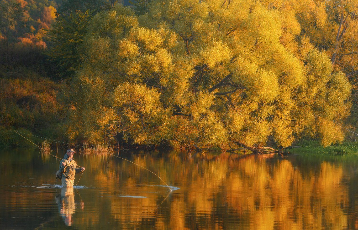 осень, рыбалка, свет, деревья, листья, речка, Евгений Цап