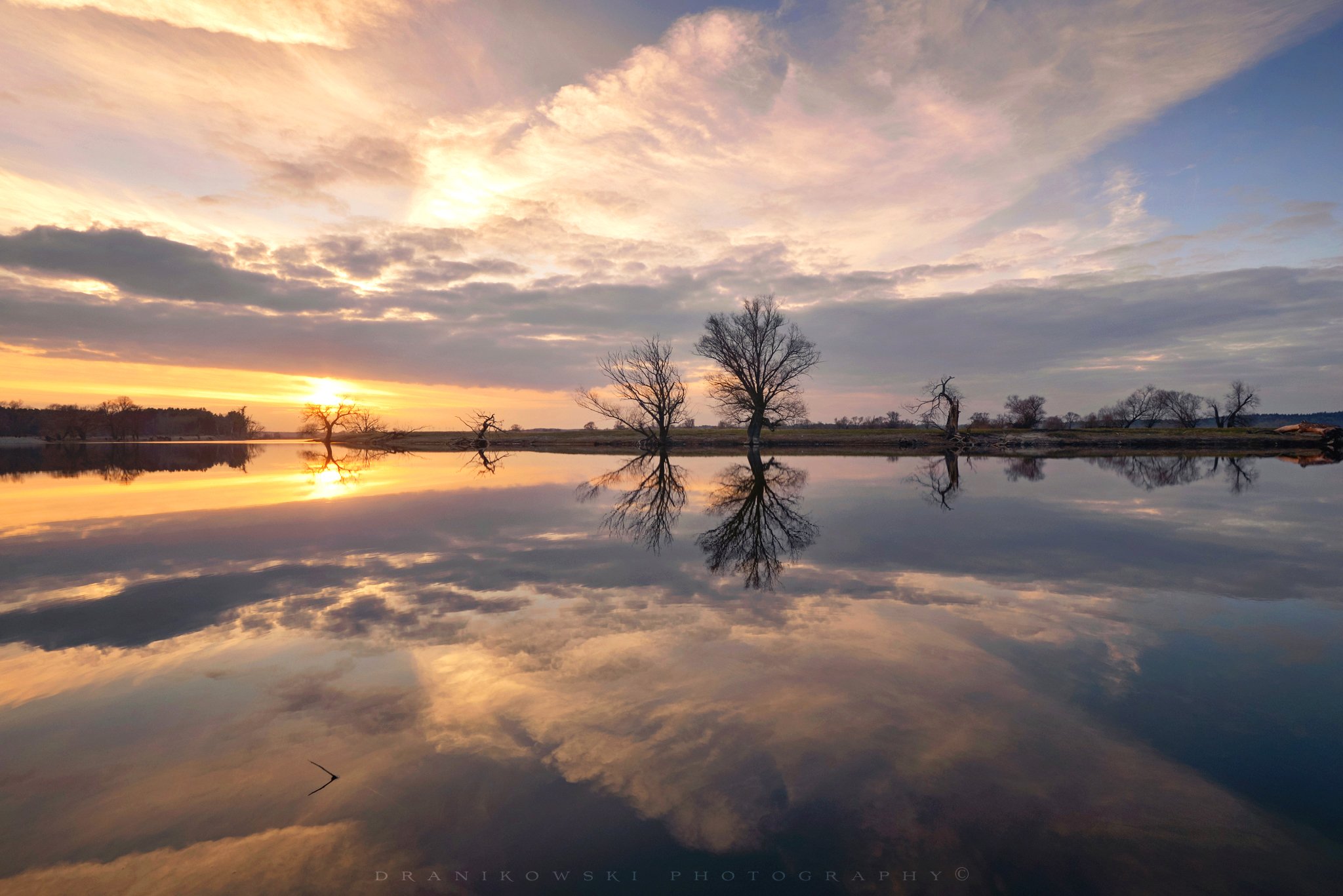 зеркало lustro mirror odra river trees sun light sunset sunrise poland dranikowski, Radoslaw Dranikowski