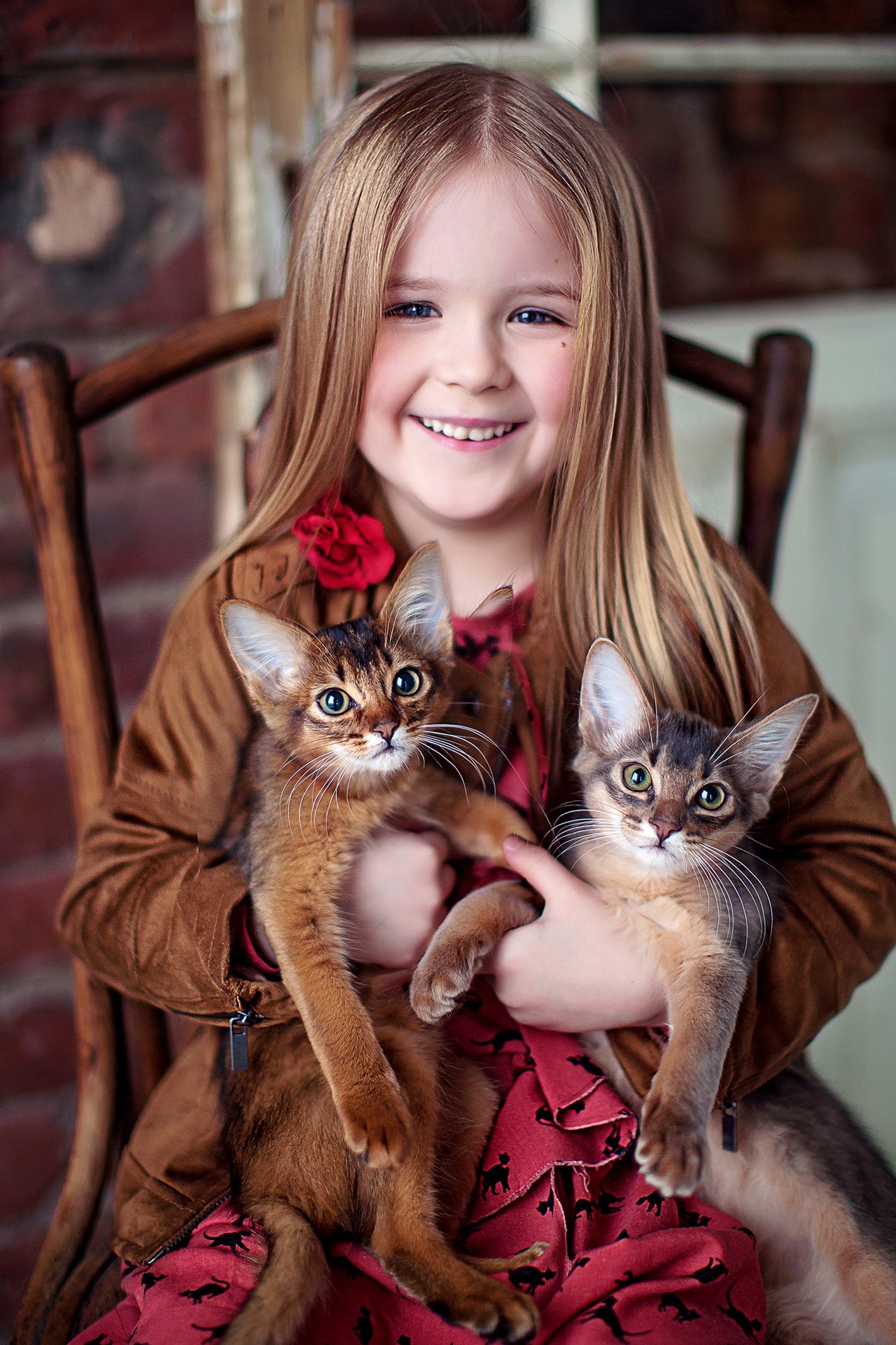 девочка портрет котята, Полковникова Катерина