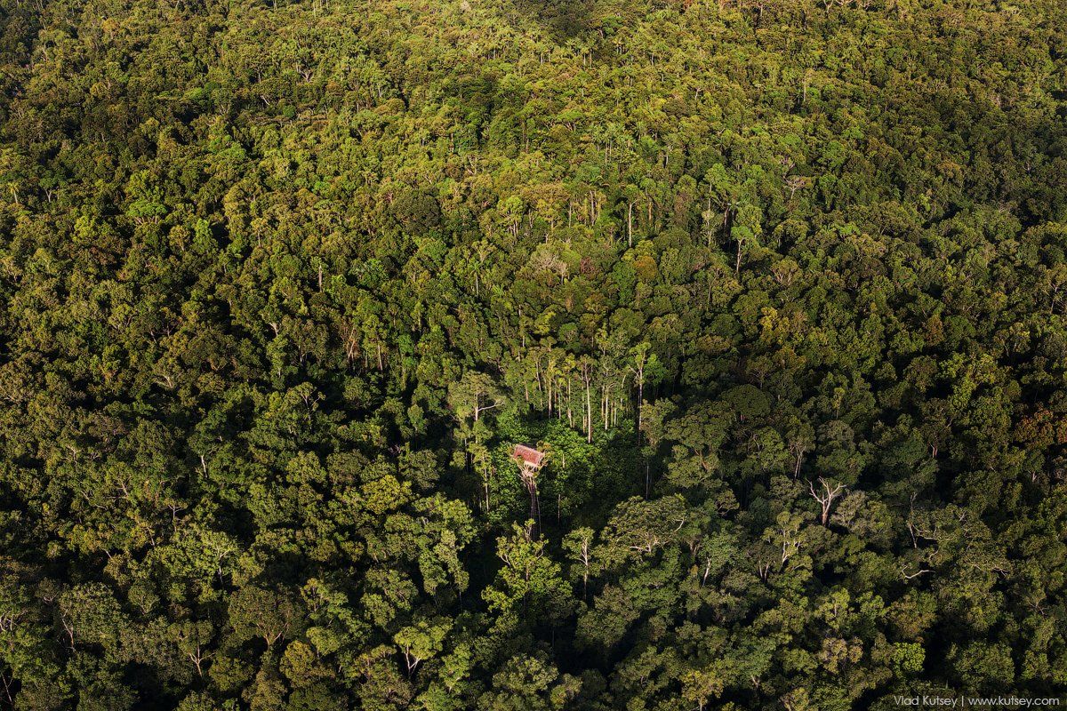 korowai, papua, treehouse, korowaitribe, папуа, короваи, джунгли, домнадереве, Владимир Куцый (Vlad Kutsey)