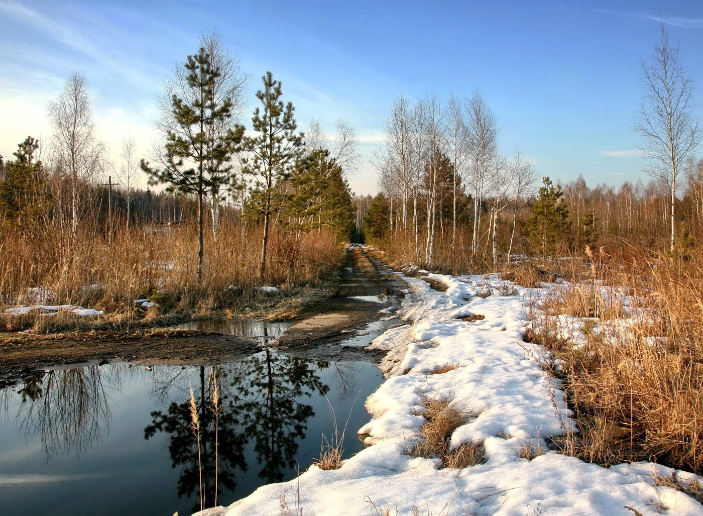 , Юрий Савинский