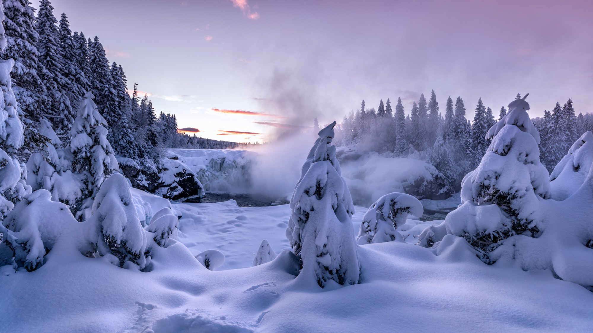 winter, sweden, snow, pink, trees, landscape, Sylwia Grabinska