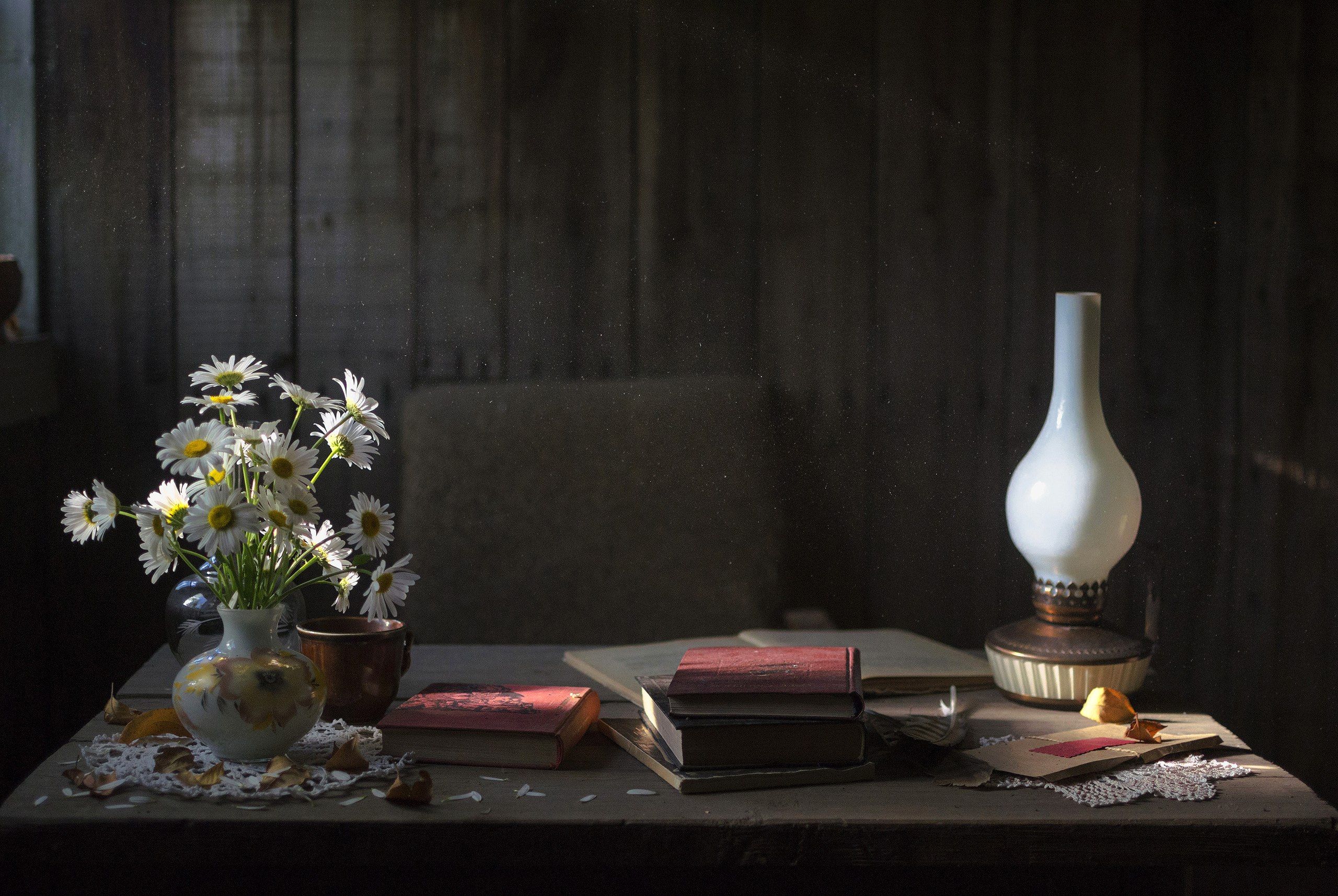стол, лампа, цветы, свет, вечер, дом, пыль, книги, Илья Логачёв