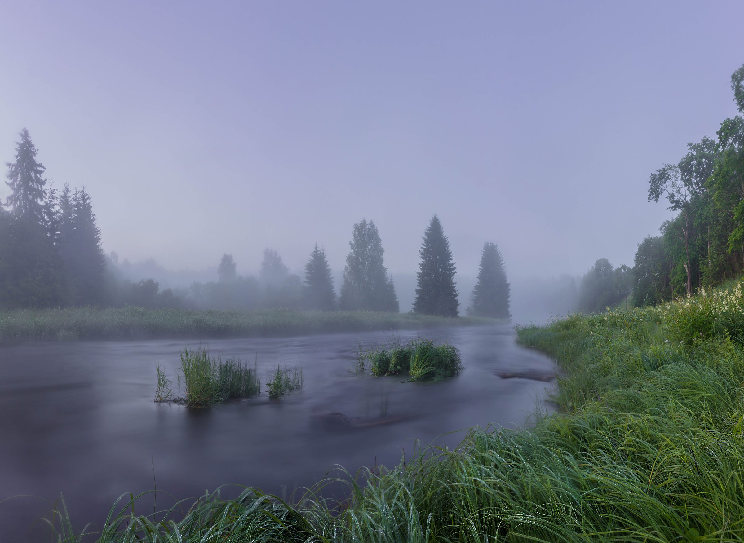 туман, река, россия, Павел Ващенков