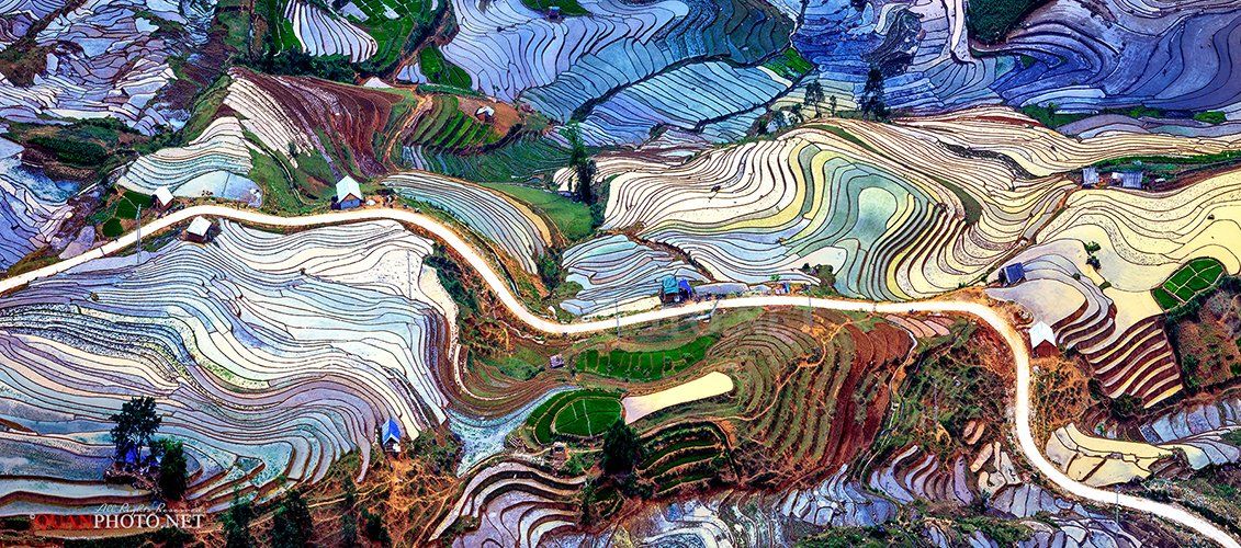 quanphoto, landscape, rice, terrace, flooded, colors, patterns, valley, farmland, vietnam, panorama, quanphoto
