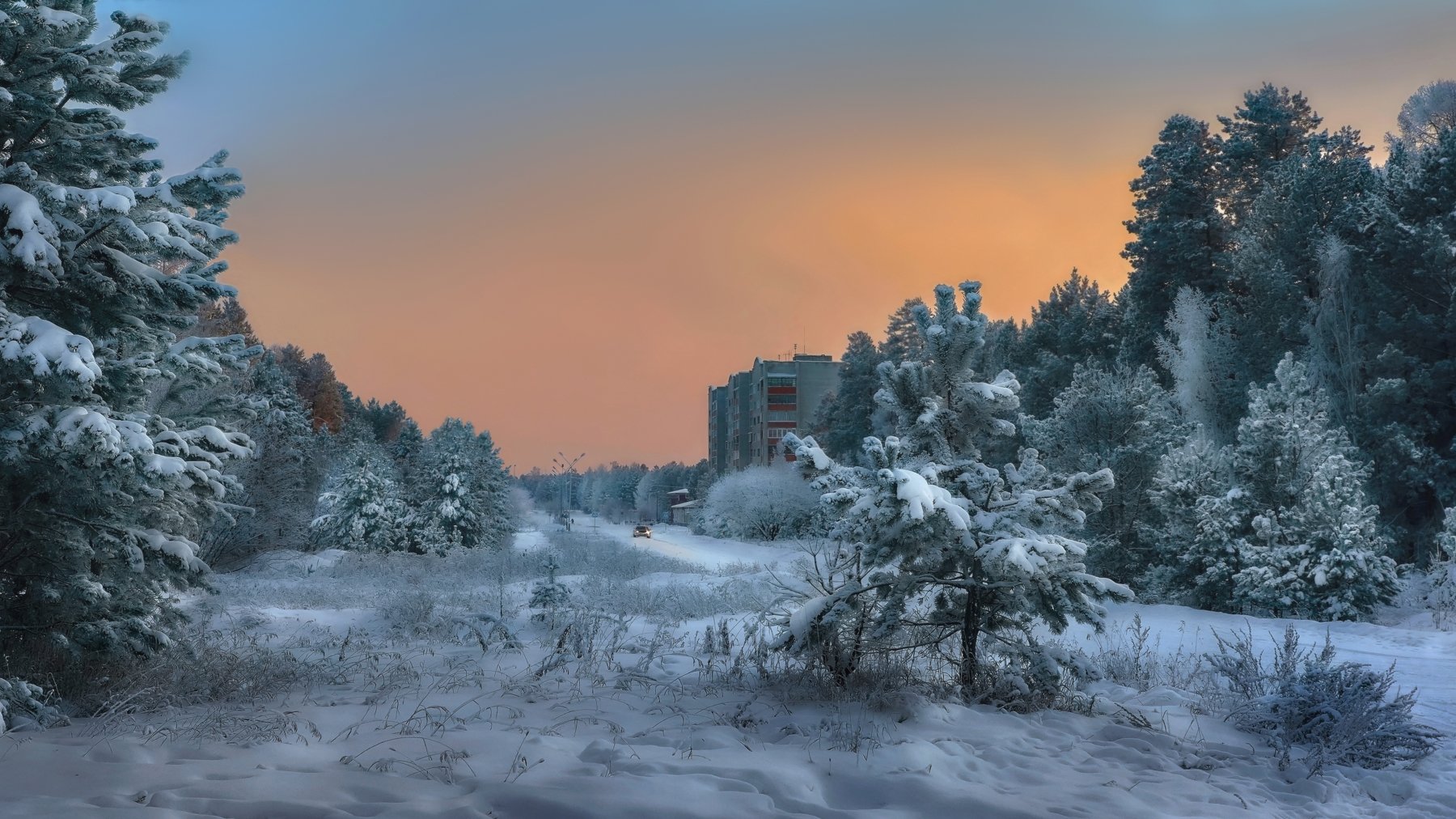 Саянск, окраина города ,зима, деревья в снегу, небо на закате солнца,, Сергей