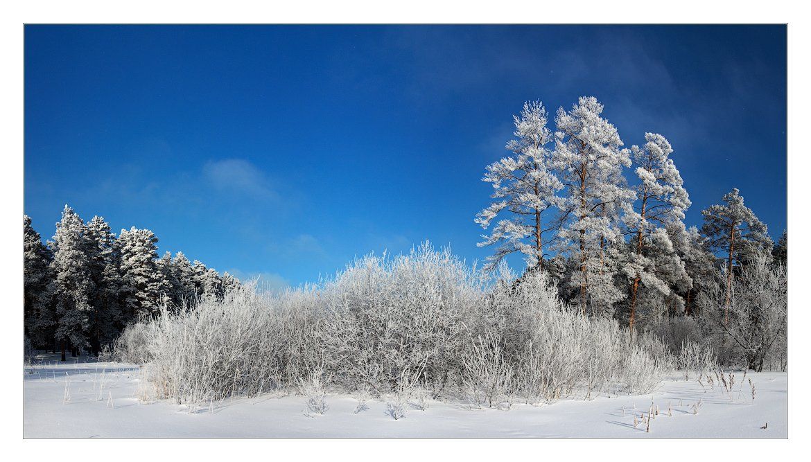 Какая пороша будет завтра. Пороша фото. Снег пороша. Фото пороша зима. Челябинск зимой.
